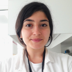 Despoina ANDRIOTOU