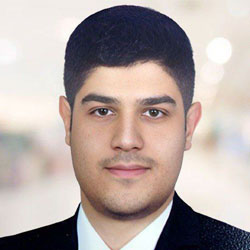 Hadi Erfani